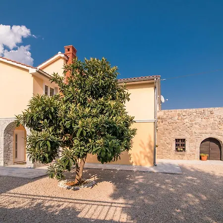 Вилла Luxury And Modern With Pool Near By Traveler Tourist Agency Krk - Id 2138 Vrh (Krk)